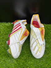 Load image into Gallery viewer, Adidas Predator Powerswerve Elite SG